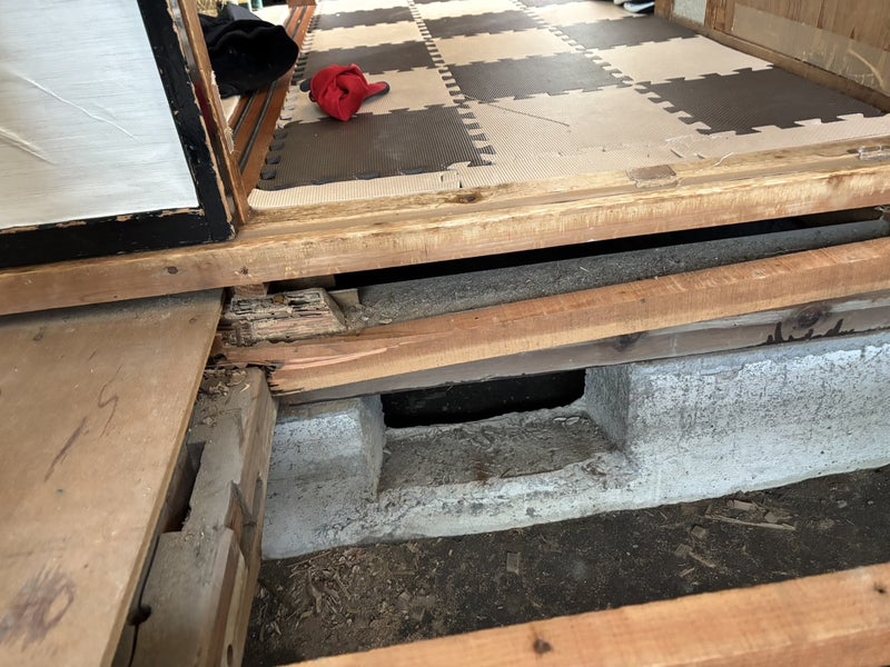 【床補修】シロアリ被害を発見し、防蟻処理を実施！（静岡市葵区千代田）