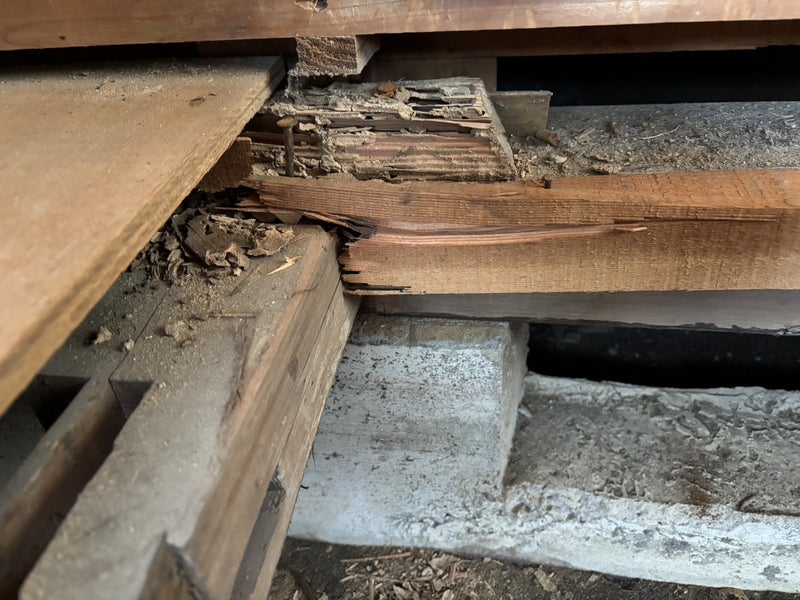 【床補修】シロアリ被害を発見し、防蟻処理を実施！（静岡市葵区千代田）